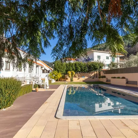 酒店 伯尔尼酒店