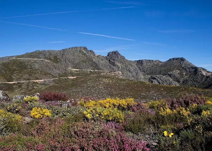 Hotel Berne Manteigas